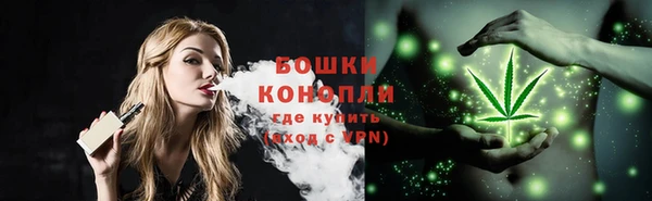сатива Горно-Алтайск