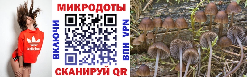 Купить  Бугуруслан  Галлюциногенные грибы Magic Shrooms 